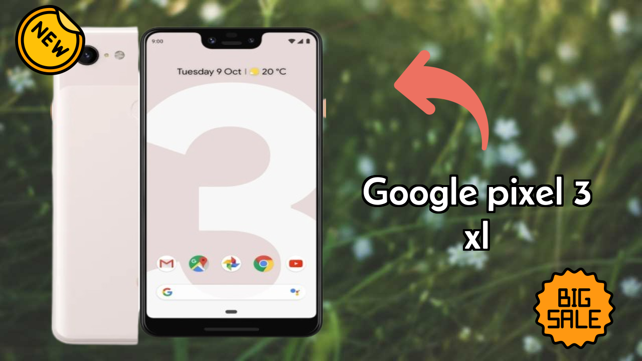Google Pixel 3 XL Camera Test: 8 MP + 8 MP Front Camera Selfie Quality