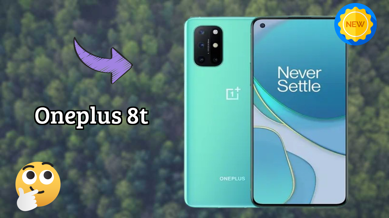 OnePlus 8T Camera Samples: 48 MP + 16 MP + 5 MP + 2 MP Rear Camera Low Light Test