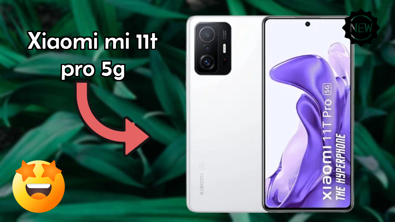 Xiaomi Mi 11T Pro 5G Camera Quality: 108 MP + 8 MP + 5 MP Rear Camera Photo Test